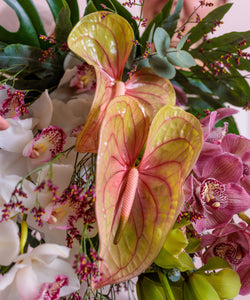 Exquisite Orchid Bouquet