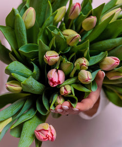 Pink Tulips Bouquet