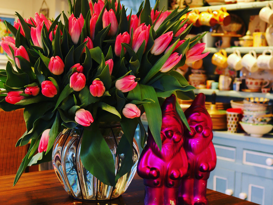 Facts that every Tulip lover should know