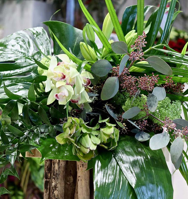 Best Flowers for Valentine's Day