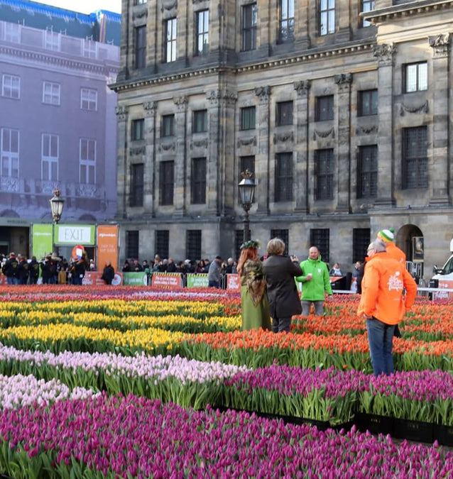National Tulip Day