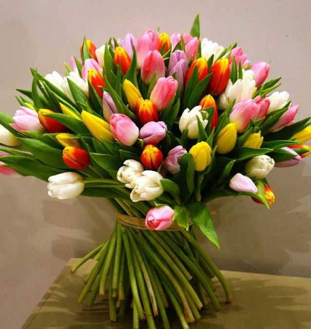 Our Seasonal Flower Range Available Now