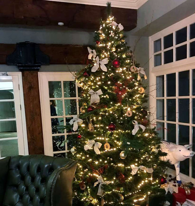 Mount Juliet Christmas Decor 2018