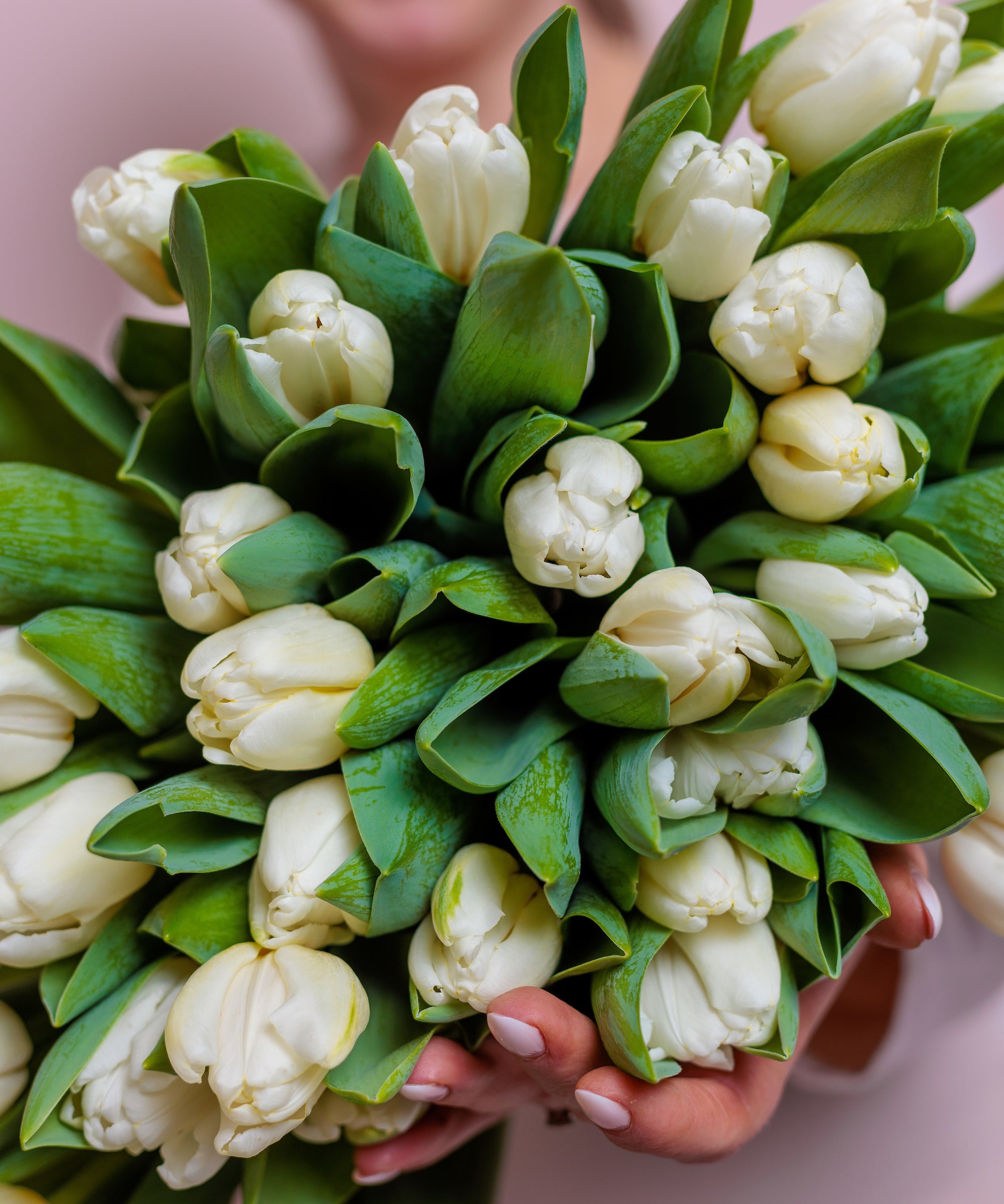 White Tulips Bouquet