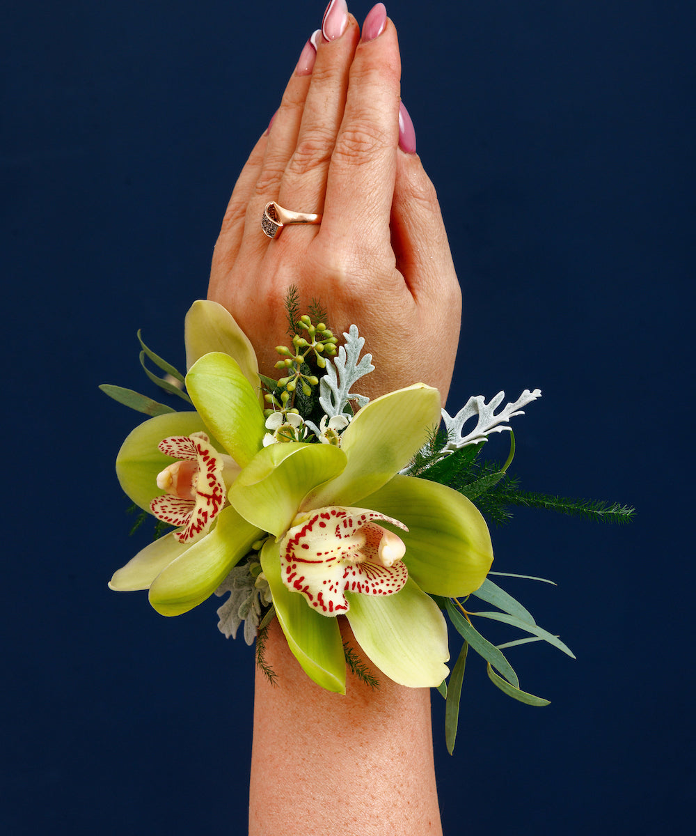 Green Cymbidium Orchid Wrist Corsage