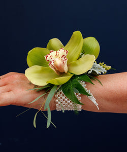 Green Cymbidium Orchid Wrist Corsage